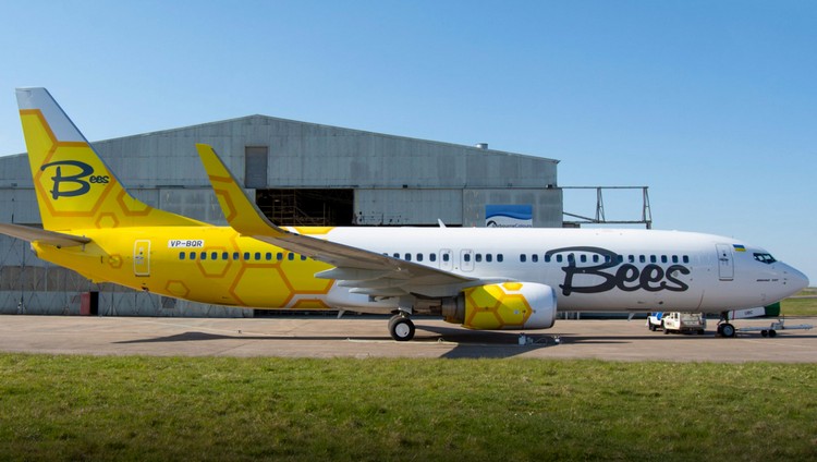 самолет Bees Airline